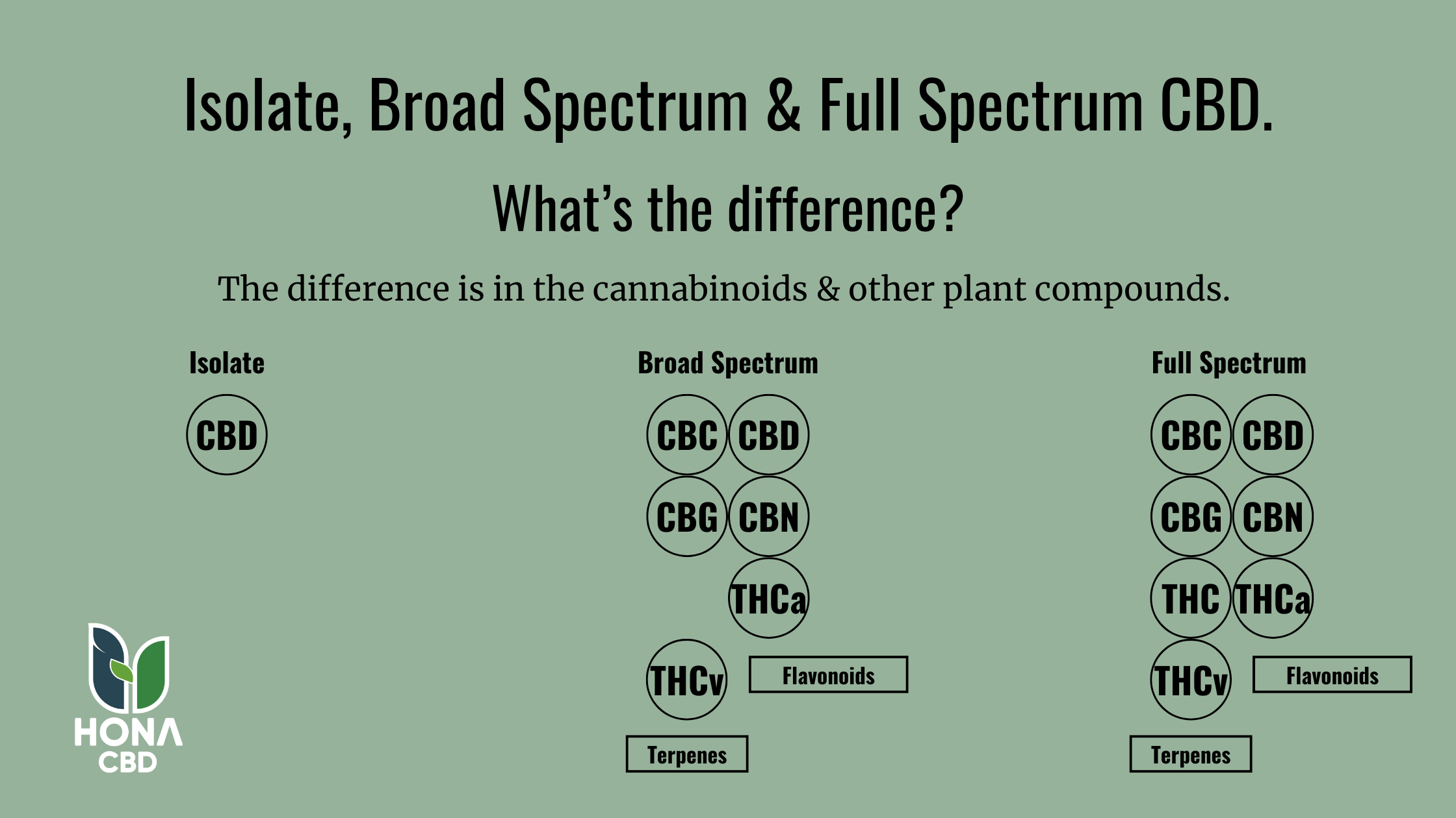 Infographic explaining the defferences between Isolate CBD, Broad Spectrum CBD, and Full-Spectrum CBD